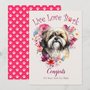 Lhasa Apso Hund Adoption, Gotcha Day Kort