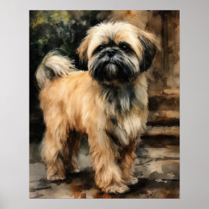 Lhasa Apso Hund Art Print Poster