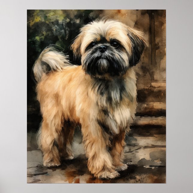 Lhasa Apso Hund Art Print Poster (Framsidan)