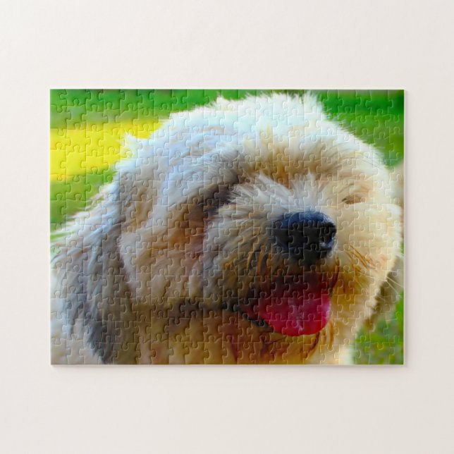 Lhasa Apso Hund aveln. Pussel (Horisontell)