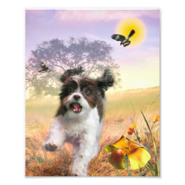 Lhasa Apso Hund HIGH SVAN HOME Fototryck