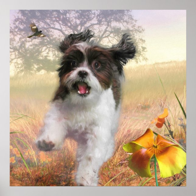 Lhasa Apso Hund HIGH SVAN HOME Poster (Framsidan)