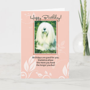Lhasa Apso Hund Humous Birthday Kort