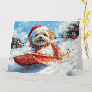 Lhasa Apso Hund i Sledge Låt det snöa jul Kort