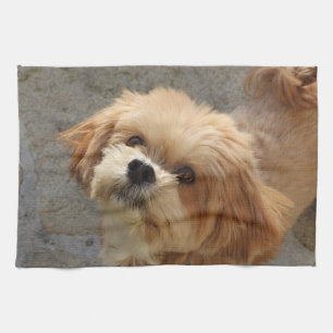 Lhasa Apso hund i trädgården Kökshandduk