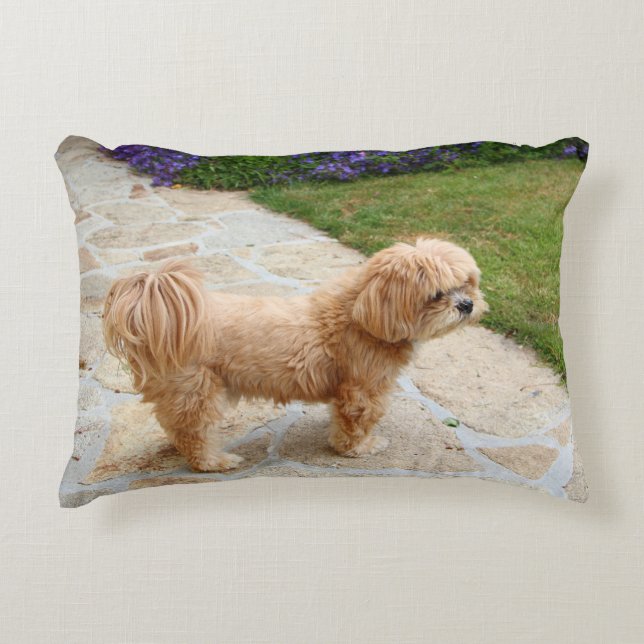 Lhasa Apso hund i trädgården Prydnadskudde (Framsidan)