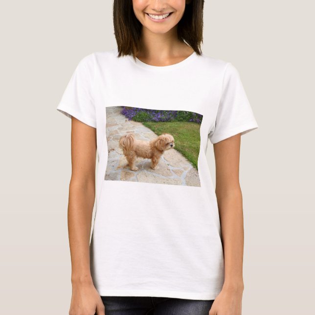 Lhasa Apso hund i trädgården T Shirt (Framsida)