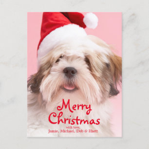 Lhasa Apso hund som ha på sig den Santa hatten Helg Vykort