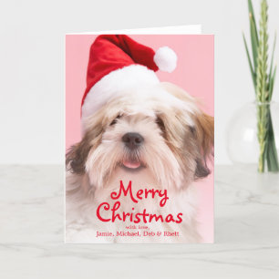 Lhasa Apso hund som ha på sig den Santa hatten Helgkort