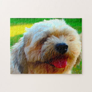 Lhasa Apso hundras. Pussel