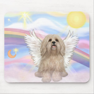 Lhasa Apso Musmatta