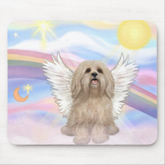 Lhasa Apso Musmatta