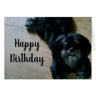 LHASA APSO ÖNSKEMÅL FOR A GRATTIS PÅ FÖDELSEDAGEN HÄLSNINGSKORT