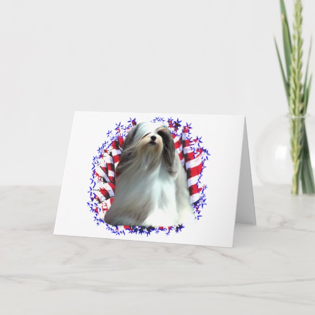 Lhasa Apso patriot Kort (Framsida)