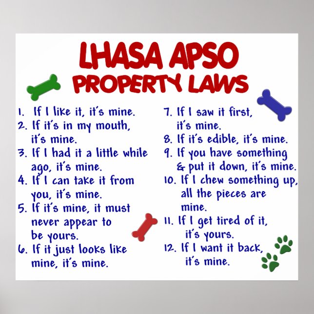 LHASA APSO PL2 POSTER (Framsidan)