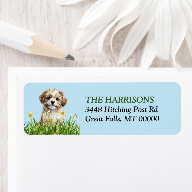 Lhasa Apso Puppy Daffodil Garden Returadress Etikett (Insitu)