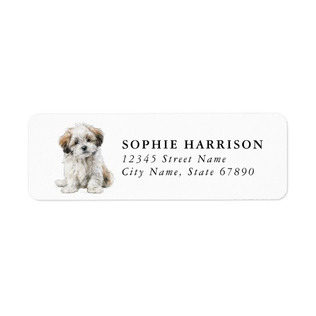 Lhasa Apso Returadressetiketter Returadress Etikett (Framsidan)