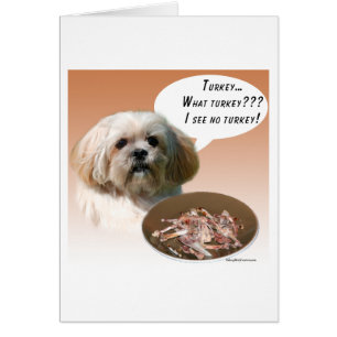 Lhasa Apso Turkiet Hälsningskort