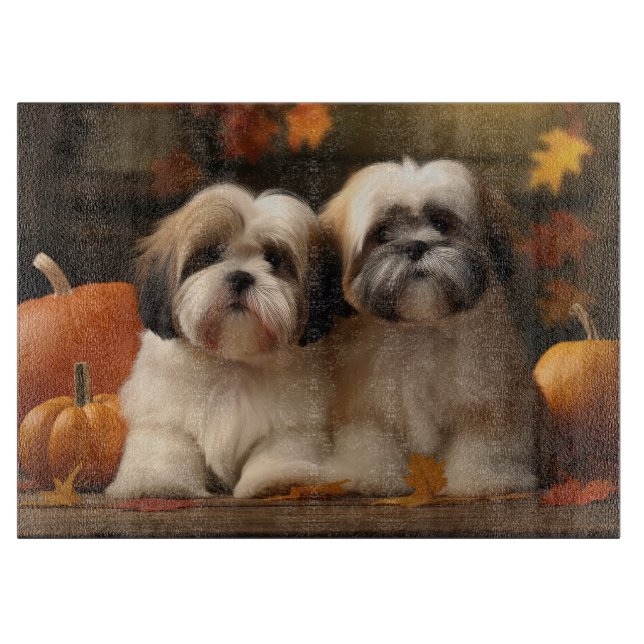 Lhasa Apso Valp Höstglädje Pumpa  (Framsidan)