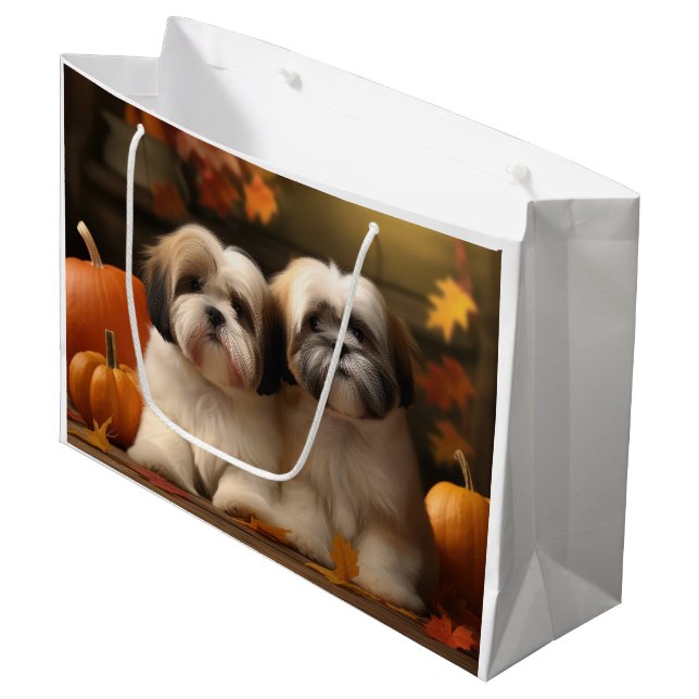Lhasa Apso-valp Höstglädje Pumpa  (Framsidan Vinklad)