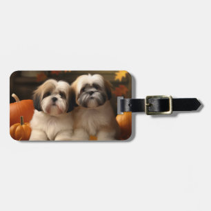 Lhasa Apso Valp Höstglädje Pumpa Bagagebricka