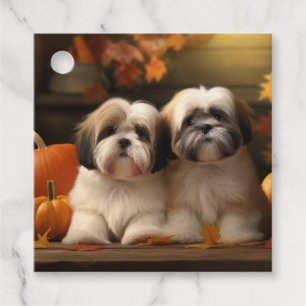Lhasa Apso Valp Höstglädje Pumpa Gåvor Etiketter