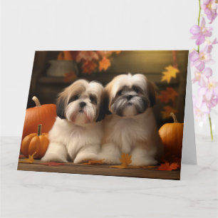Lhasa Apso Valp Höstglädje Pumpa Kort
