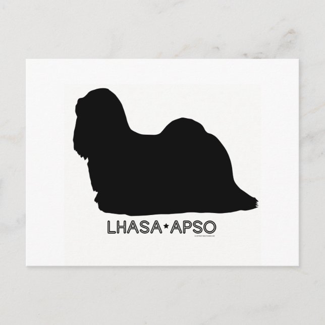 Lhasa Apso-vykort Vykort (Framsida)