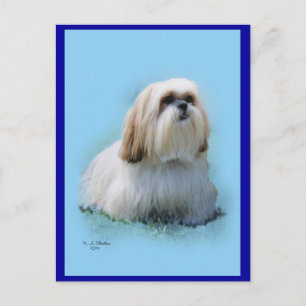 Lhasa Apso-vykort Vykort