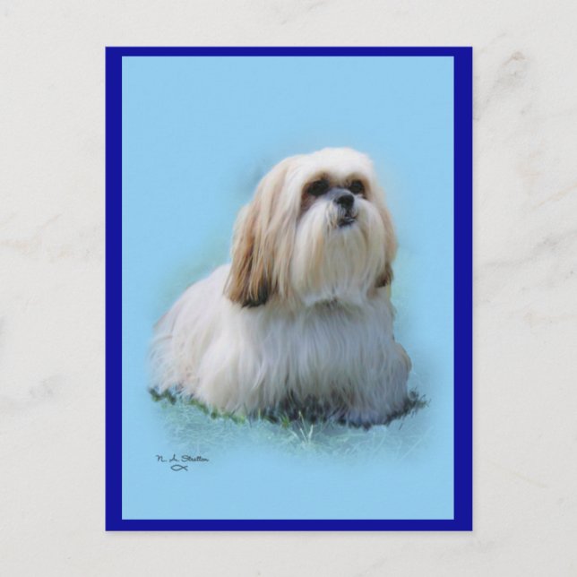 Lhasa Apso-vykort Vykort (Framsida)