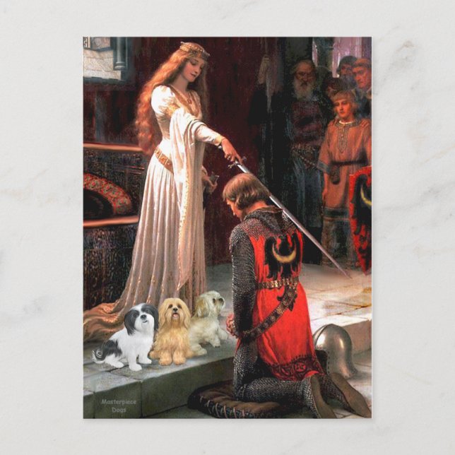 Lhasa Apsos (3) - Accolade Vykort (Framsida)