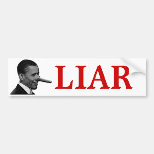 LIAR BILDEKAL