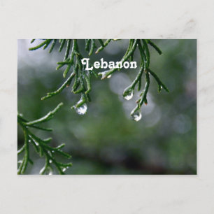 Libanon Vykort