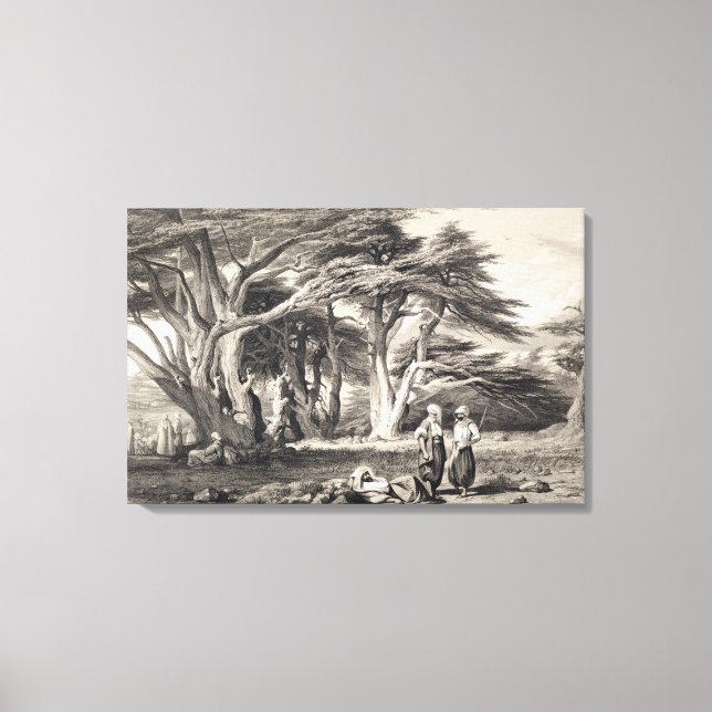 Libanons cederi, graverad av Freeman (sepia) Canvastryck (Framsida)