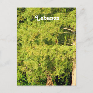 Libanons härdar vykort