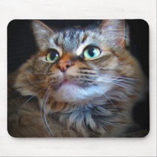 libby kattmousepad musmatta