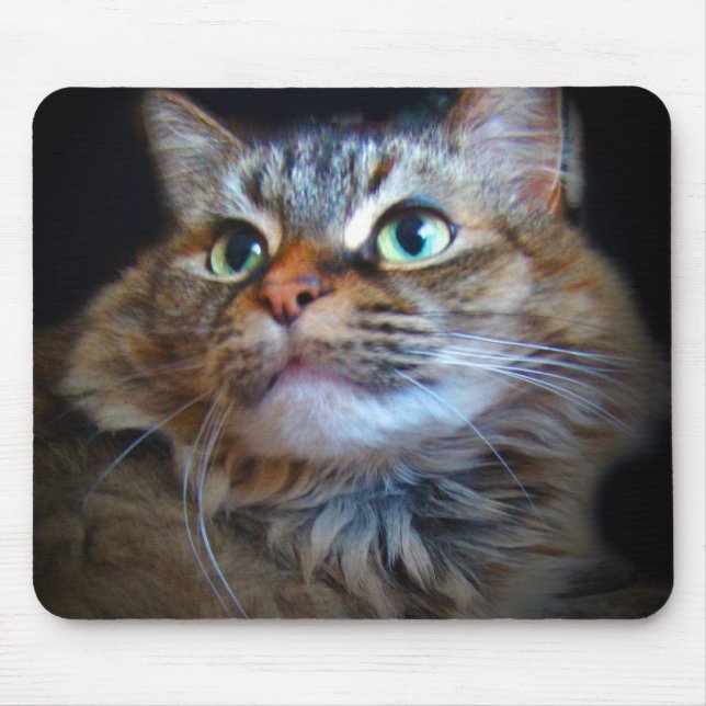 libby kattmousepad musmatta (Framsidan)