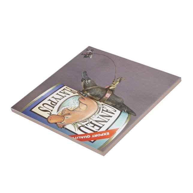 Libby på en näbbdjur på en belägga med tegel kakelplatta (Sidan)