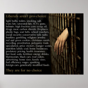 Liberalerna är inte för ett val poster