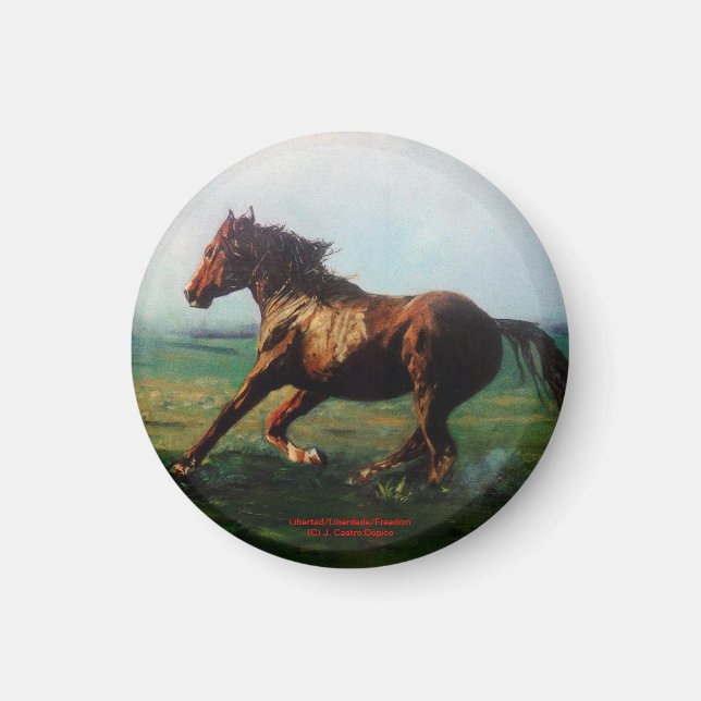 Libertad/Liberdade/Freedom Magnet (Framsidan)