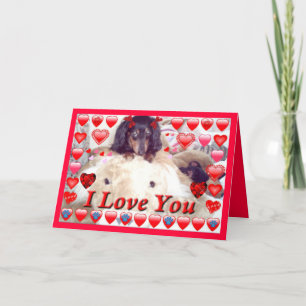 LIBERTY HUND STORE DACHSHUND VALENTINE CARDS - GIF HELGKORT