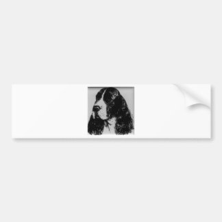 LIBERTY KENNELS LOGO BILDEKAL