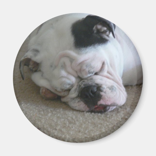 Liberty magnet (Framsidan)