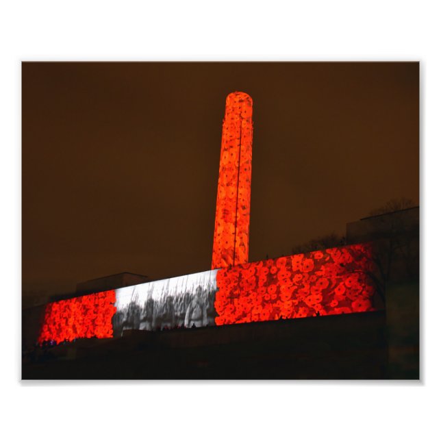 Liberty Memorial Poppies, Kansas City, Missouri Fototryck (Framsidan)