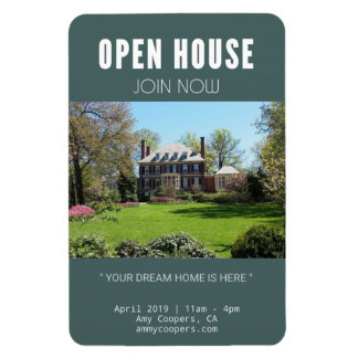 Liberty's Torch Shines on (3 tum x 4 tum Magnet) Magnet