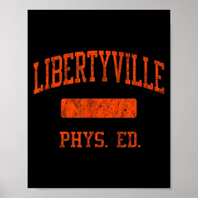 Libertyville High School Hs Libertyville Il Phys E Poster (Framsidan)