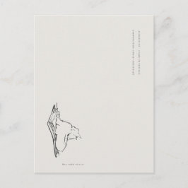 Library Cat- Naturalist Menagerie Archive  Vykort