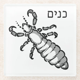 Lice Plague for Seder