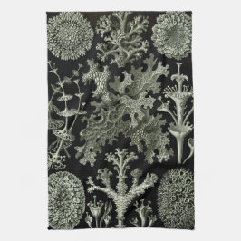 Lichen av Ernst Haeckel, Vintage Nature Plants Kökshandduk