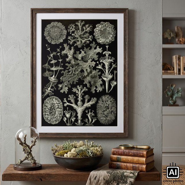 Lichen av Ernst Haeckel, Vintage Nature Plants Poster (Vintage illustration botany nature design by Ernst Haeckel featuring a black and white lichen plants)